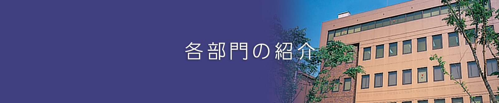 株式会社現代仏壇 各部門の紹介